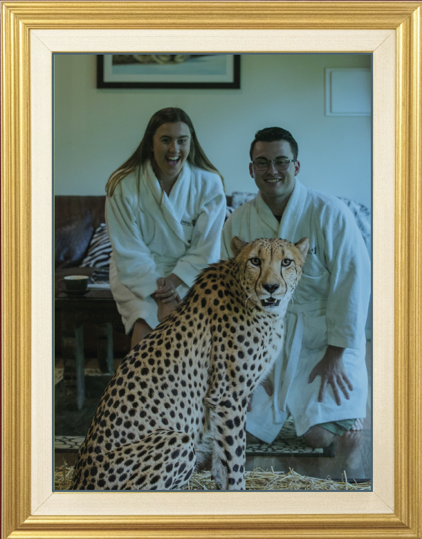 Stay at Jamala Wildlife Lodge